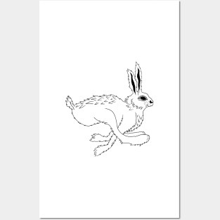 White Rabbit Posters and Art